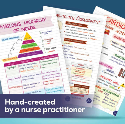 Nursing Success Bundle: 400+ Page Handwritten Notes, Designed to Ace Nursing School, Concise & Comprehensive