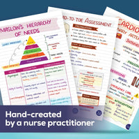 Nursing Success Bundle: 400+ Page Handwritten Notes, Designed to Ace Nursing School, Concise & Comprehensive